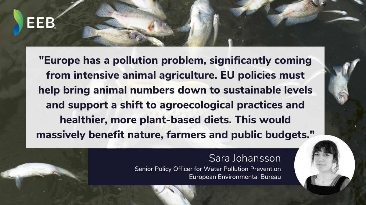 Green_Europe's tweet image. To protect water resources from nutrient pollution, EU govts must implement existing rules #WaterFrameworkDirective &amp;amp; #NitratesDirective and @EU_Commission must publish its promised nutrient Action Plan #INMAP &amp;amp; push for sustainable livestock  &amp;amp; diets🚨

👉eeb.org/library/eeb-co…