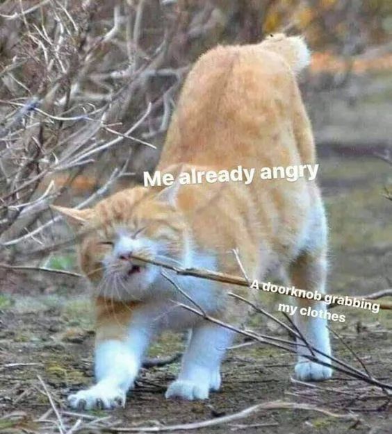 WholesomeMeme's tweet photo. https://t.co/kb8OdVdSgF