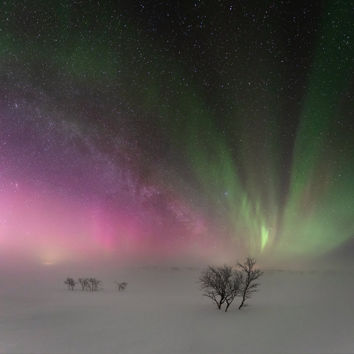 Je profite de l'engouement du jour autour des aurores boréales pour annoncer que je vais exposer ma série photo "Aurores boréales : quand la voûte céleste s'embrase" ce week-end au festival Périples &amp; cie de Mâcon.
J'y donnerai aussi une conférence sur le sujet samedi à 18h45 😊