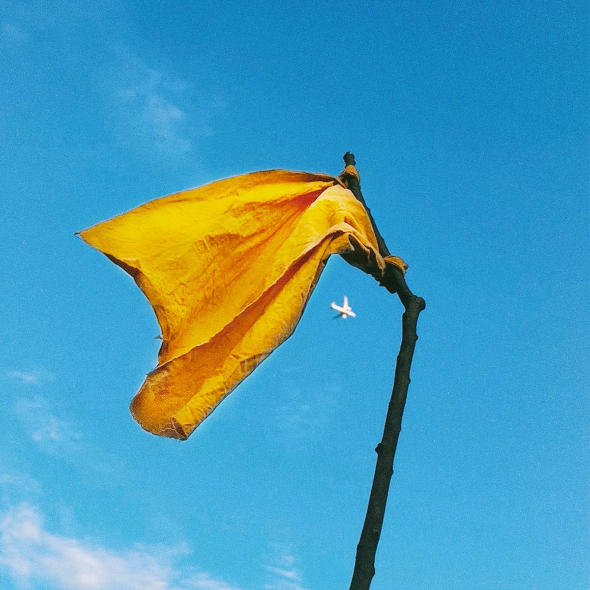 Takumadrops tweet media