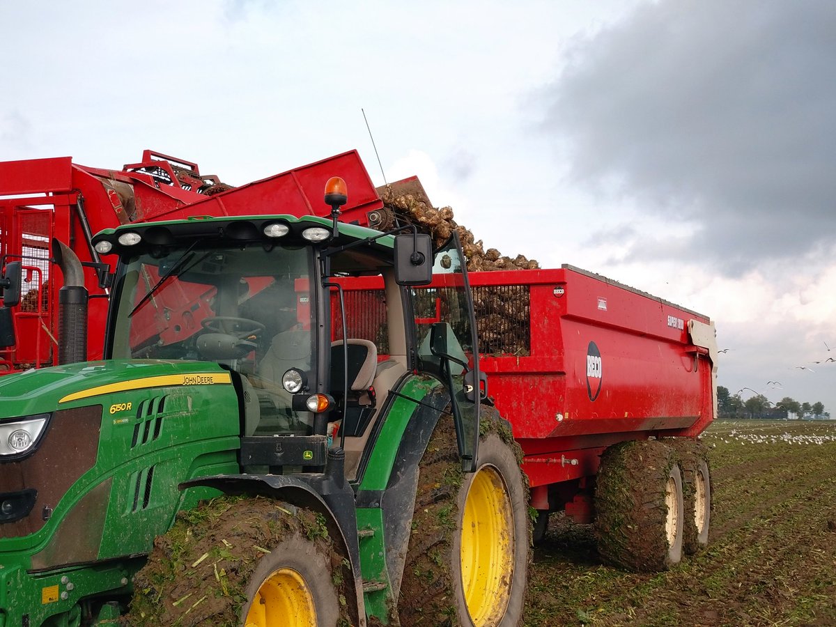 Bieten 2024 eruit! Gistermiddag met de zon begonnen, vanmorgen 5 mm 😣, vieze bende. Maar weer met de zon geëindigd 🚜😁🙏. <a href="/CosunBeetCo/">Cosun Beet Company</a> #blijeboerin Oogst 2024 helemaal binnen.