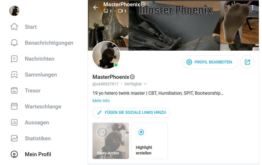 Master Phoenix (@MasterPhoenix98) / Posts / X