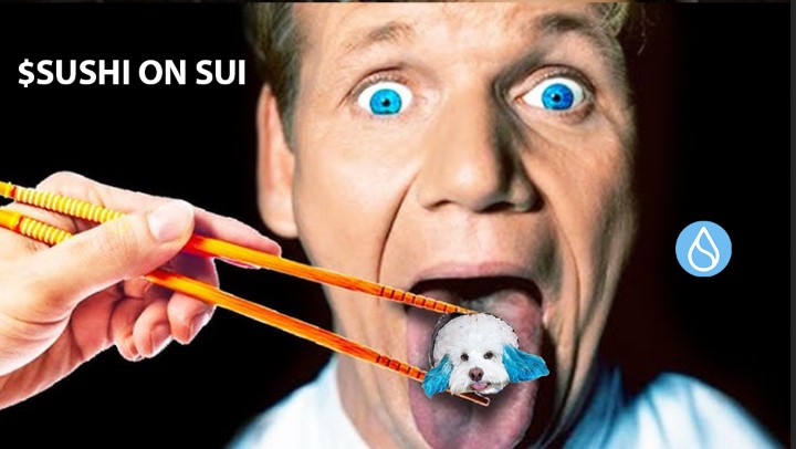 Tasty lil pup on $SUI

$SUSHI is going viral