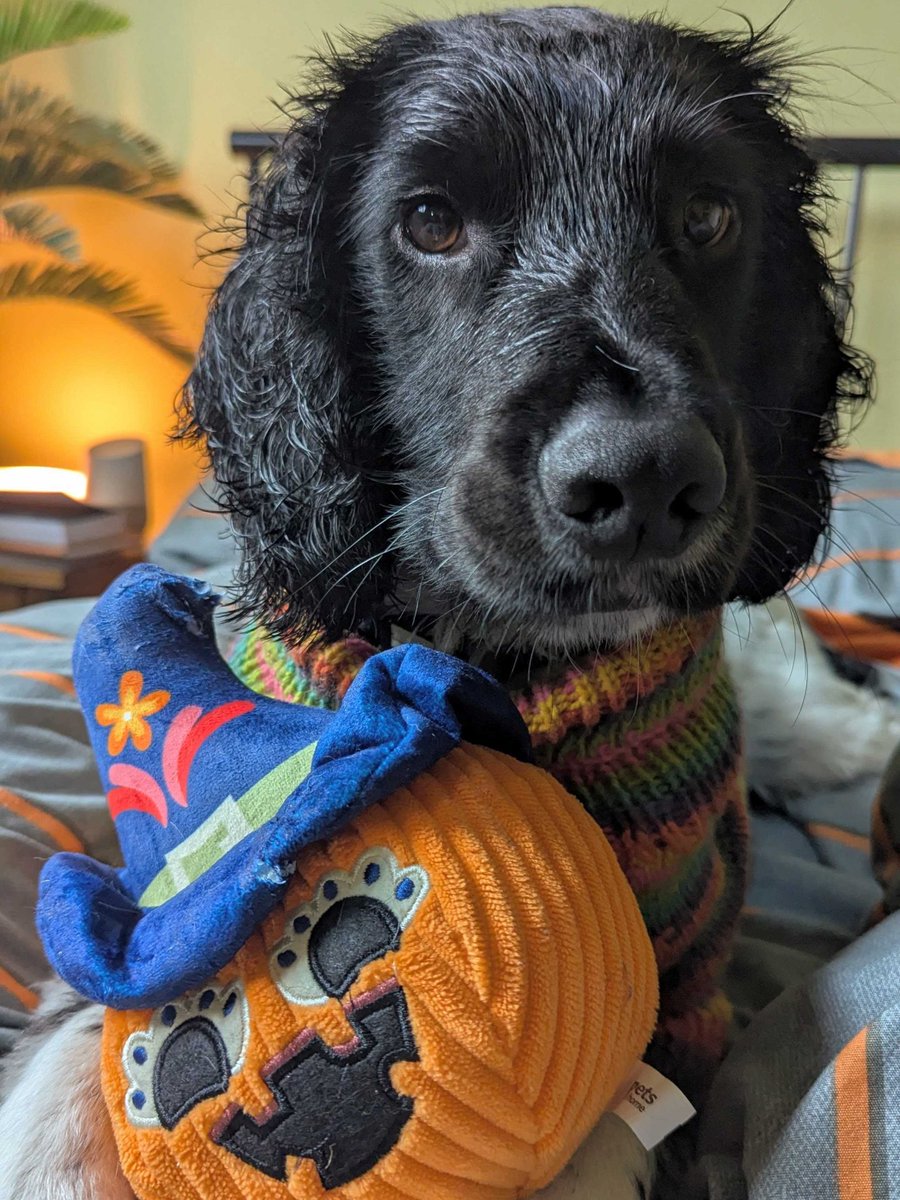 Thunderful Games ⚡ tweet media