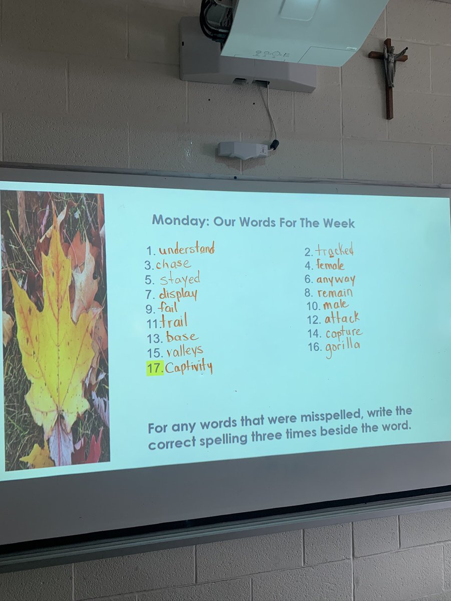 McGouganroom218's tweet photo. Word Work: The Long A sound! What words can you add? https://t.co/UjB5jhrDPV