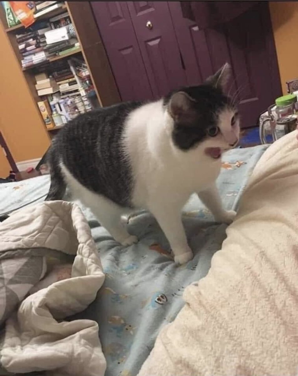 Content from omega_level_threat