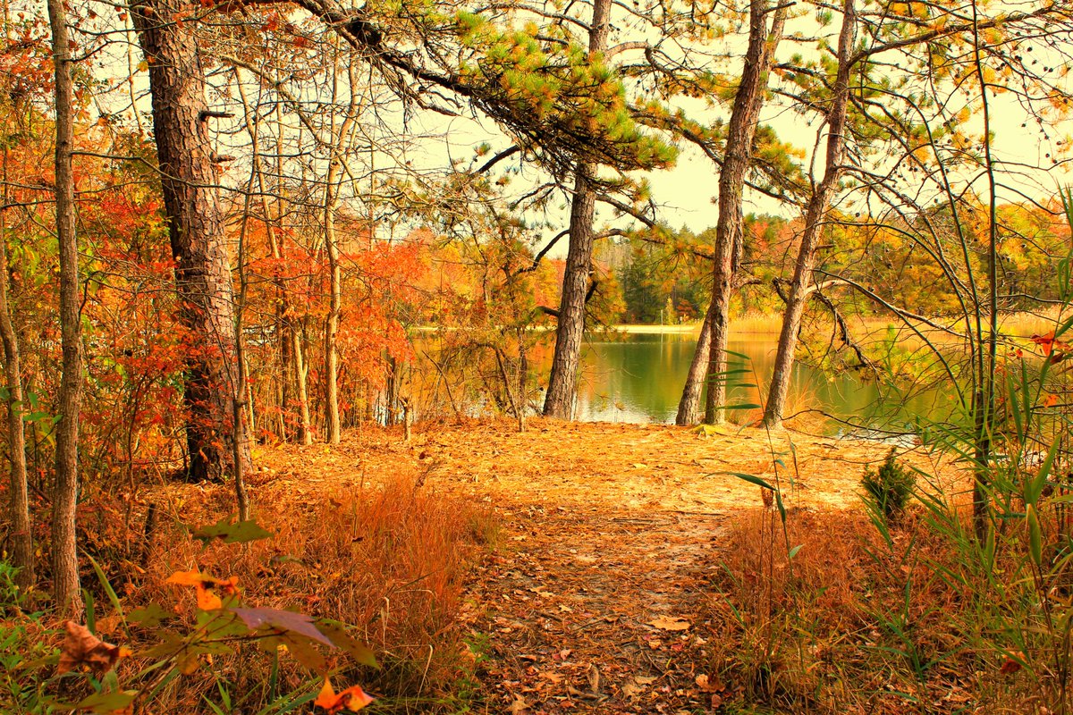 JimHallman4's tweet photo. Good Morning and Autumn Blessings https://t.co/zBjetEsn5J