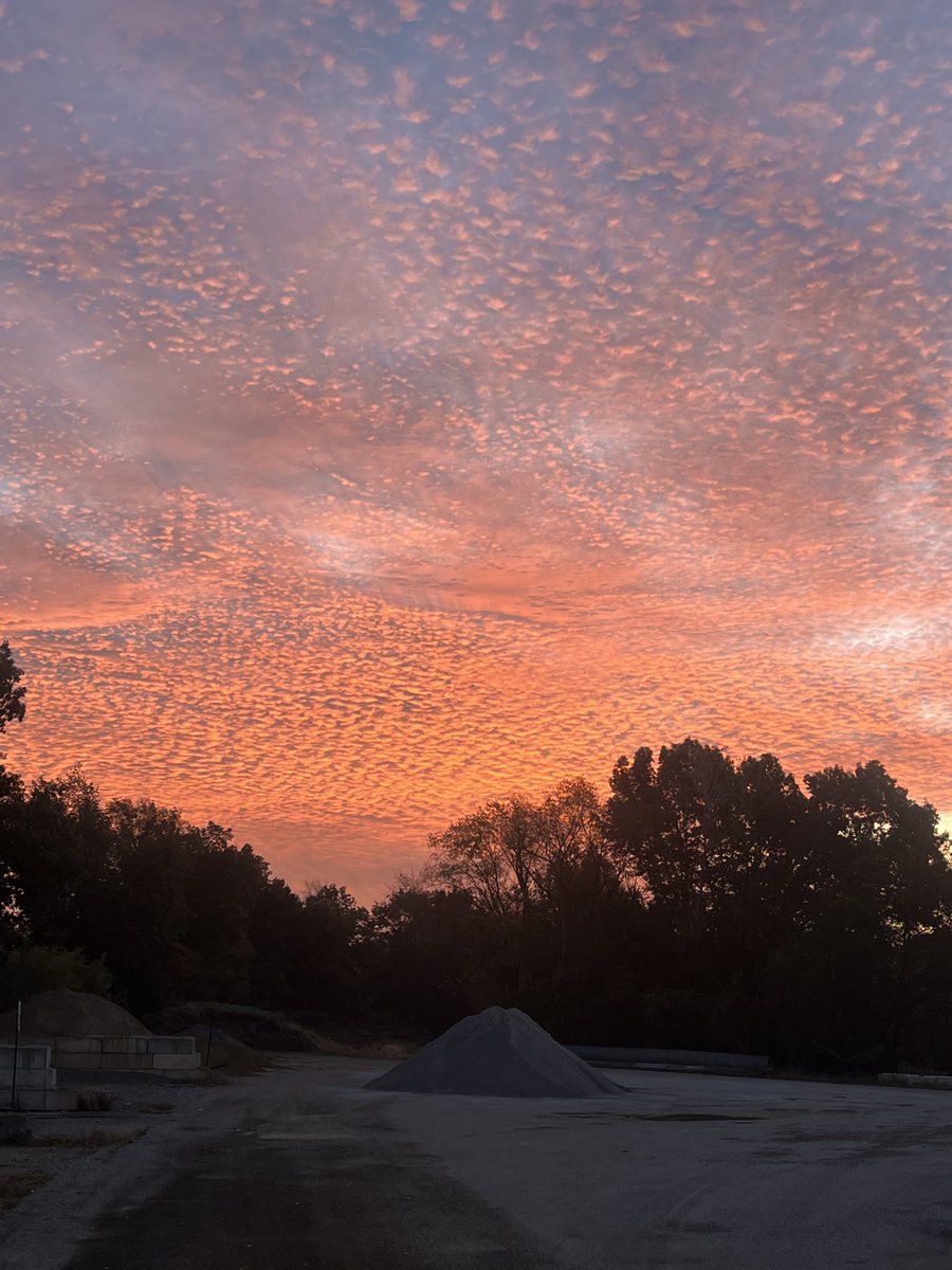 Paul Swanwick tweet media