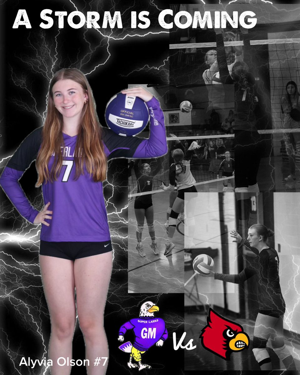 @SuperlarkVolleyball tweet media