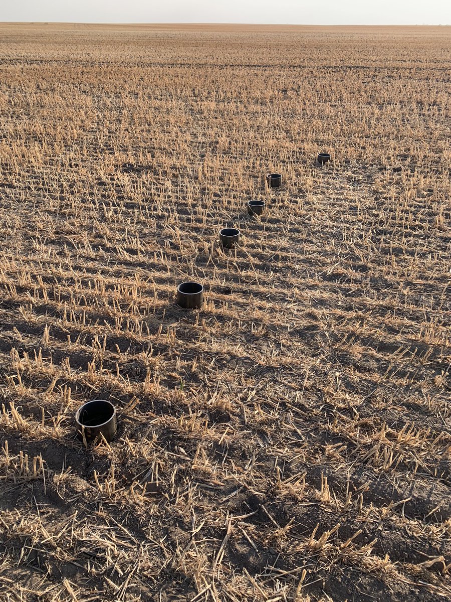 Adam Pohlmeier (@apohlm14) on Twitter photo Water infiltration tests going on today. Trying to look at different cropping systems and soil types. See what trends we can find. <a href="/bioag_solutions/">Bio-Ag Solutions LLC</a> Water infiltration tests going on today. Trying to look at different cropping systems and soil types. See what trends we can find. <a href="/bioag_solutions/">Bio-Ag Solutions LLC</a>