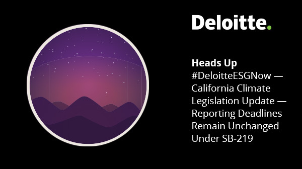 David Mallon tweet media