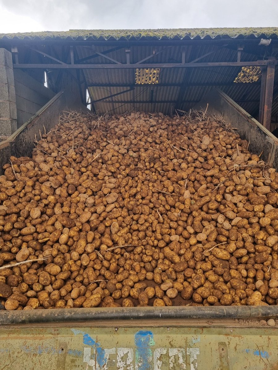 FarmerNigel24's tweet photo. Last hopper full for 2024 season. Now, to start drilling. https://t.co/qRVzh5rDCT