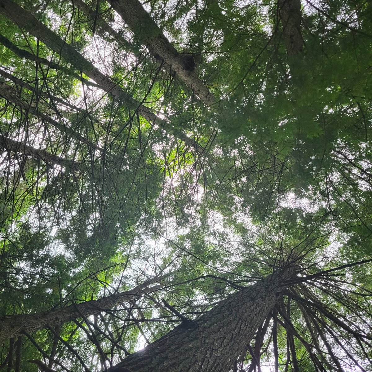 CBESTnova (@cbest_nova) on Twitter photo Giving Day <a href="/1842Day/">1842Day</a> Support our science around the world: Global and local biodiversity. We appreciate your support! give.villanova.edu/campaigns/4623… then 'College of Liberal Arts and Science' then 'CLAS Centers of Excellence' then 'Center for Biodiversity and Ecosystem..." whew! Thanks! Giving Day <a href="/1842Day/">1842Day</a> Support our science around the world: Global and local biodiversity. We appreciate your support! give.villanova.edu/campaigns/4623… then 'College of Liberal Arts and Science' then 'CLAS Centers of Excellence' then 'Center for Biodiversity and Ecosystem..." whew! Thanks!