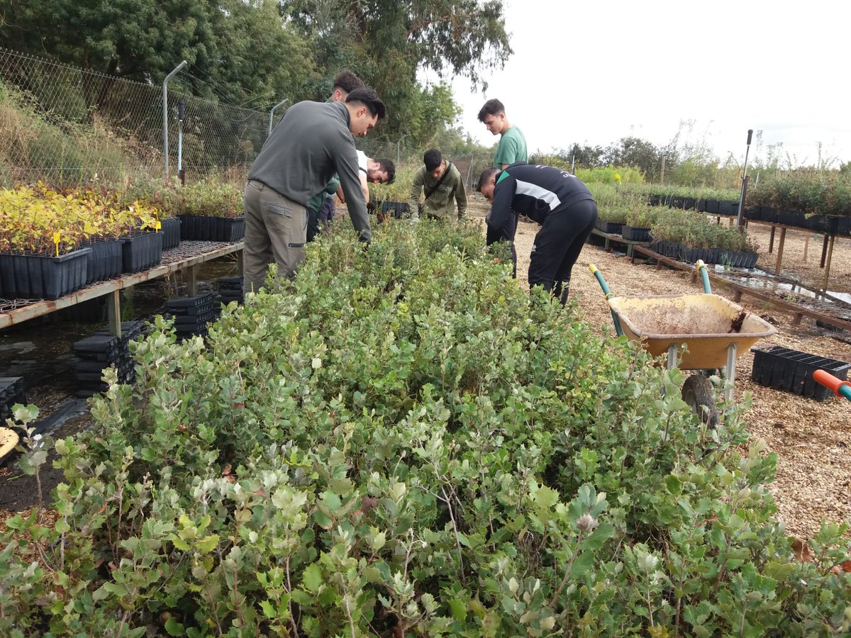 Una mañana de prácticas en el vivero de Palazuelo
