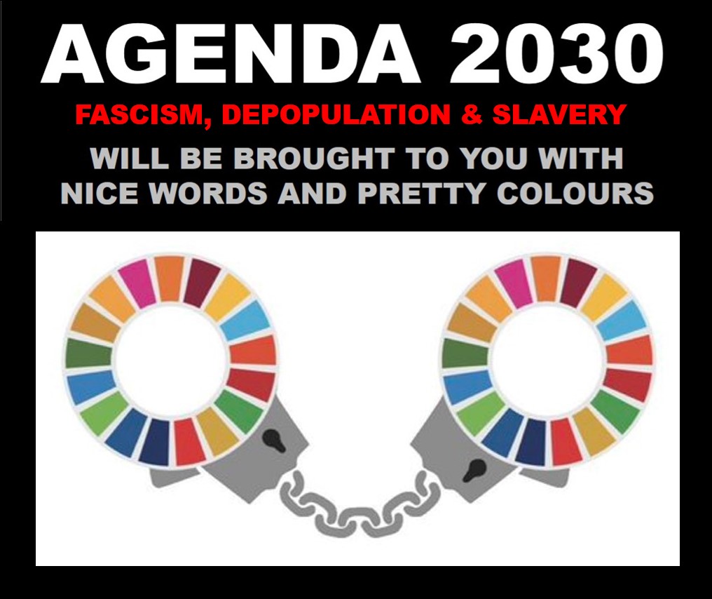 <a href="/wideawake_media/">Wide Awake Media</a>