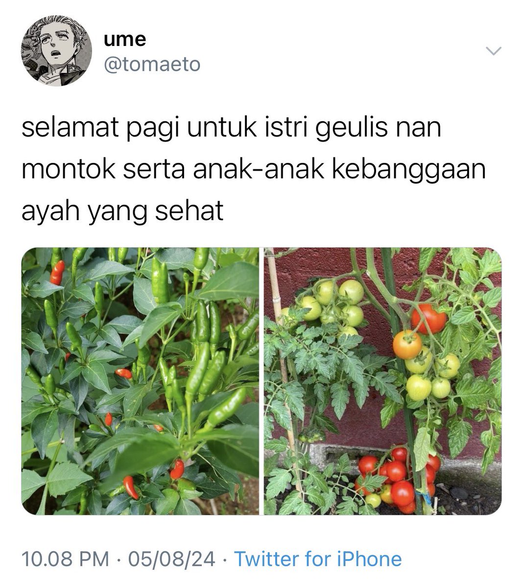 telurmini's tweet photo. wb socmed fic by telurmini

dinamika umemiya dan kebun sayurnya yang bikin warga geleng-geleng kepala https://t.co/pAphs2x2kB