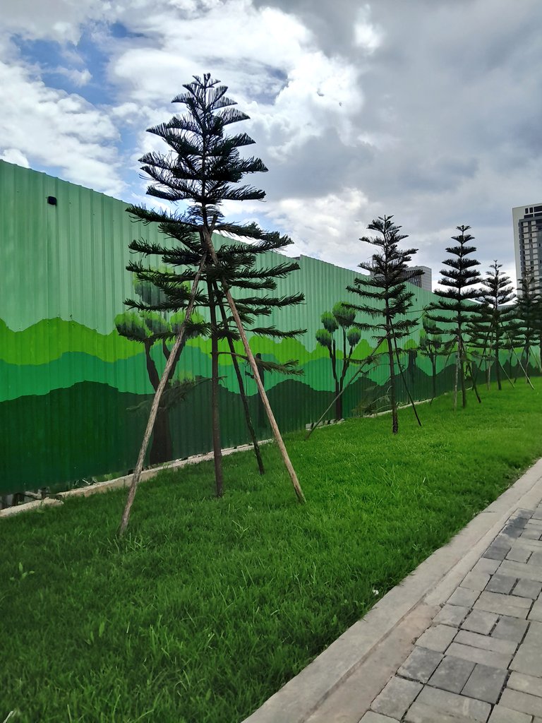 KingSol73007473's tweet photo. GalaxyA14 green#mobilephotography https://t.co/w0wot5Vuw6
