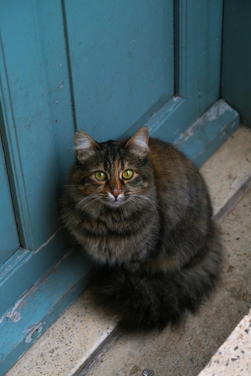 The impact of substance abuse on student behavior can contribute to incidents of school violence.