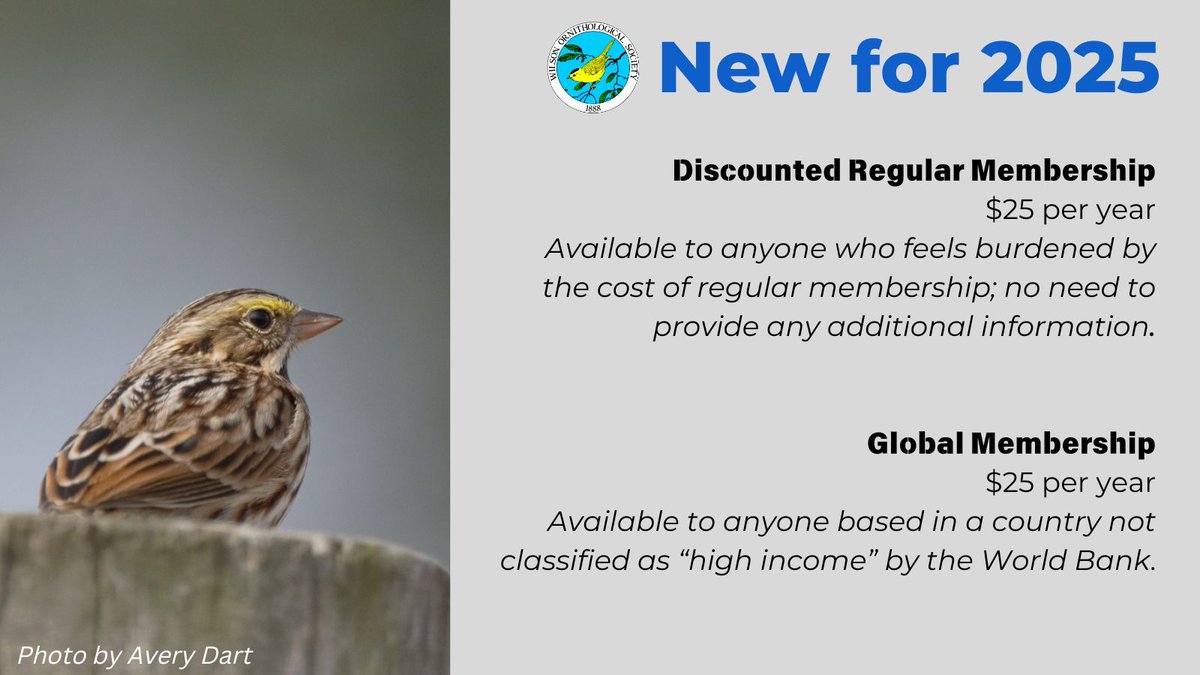Wilson Ornith Soc (@wilsonornithsoc) on Twitter photo We are introducing new membership categories for 2025! If you are based in a non-high-income country, OR if you simply feel burdened by the cost of regular membership, you can now get all of the benefits of WOS membership for just $25 per year. wilsonsociety.org/membershipbene⦠We are introducing new membership categories for 2025! If you are based in a non-high-income country, OR if you simply feel burdened by the cost of regular membership, you can now get all of the benefits of WOS membership for just $25 per year. wilsonsociety.org/membershipbeneā¦