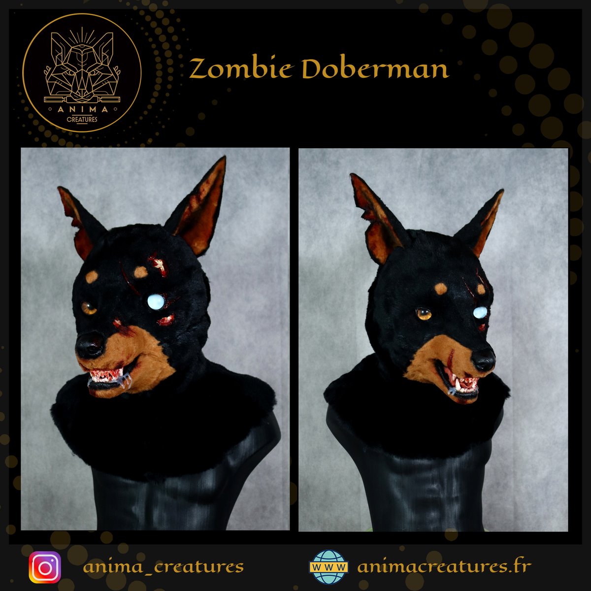 Anima Creatures tweet media