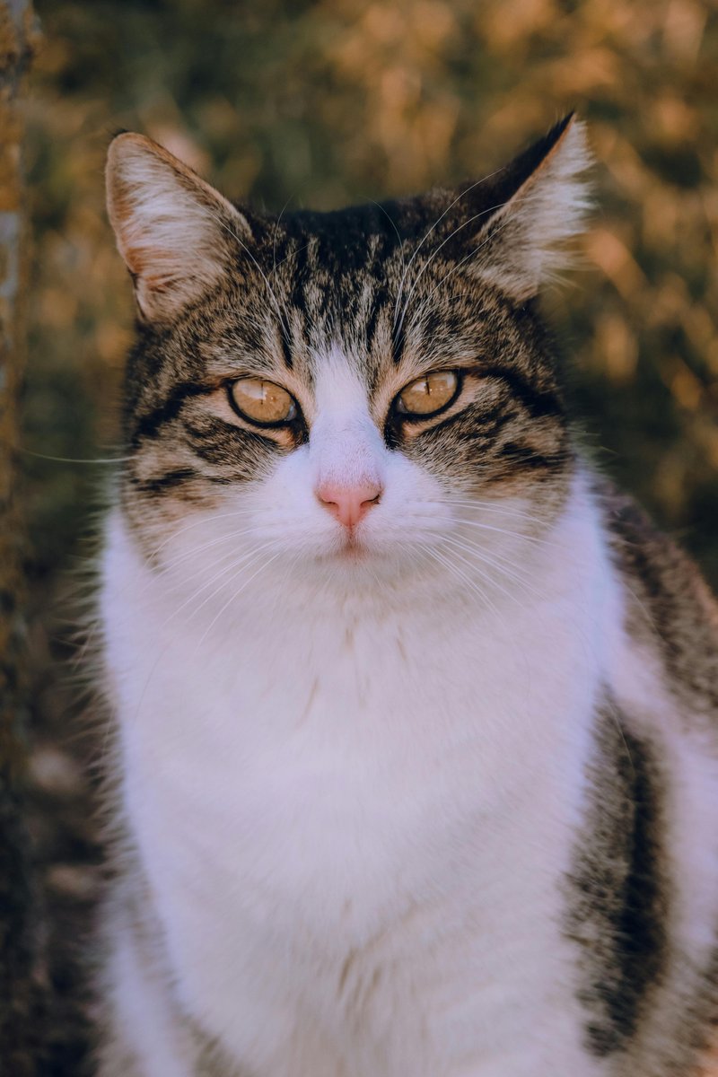 Encouraging dialogue among students about their experiences can promote understanding and healing.