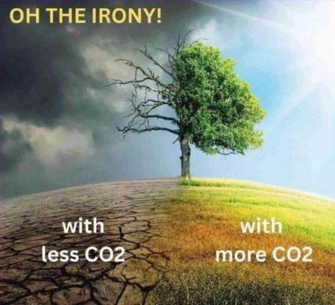 Søren Elkjær tweet media