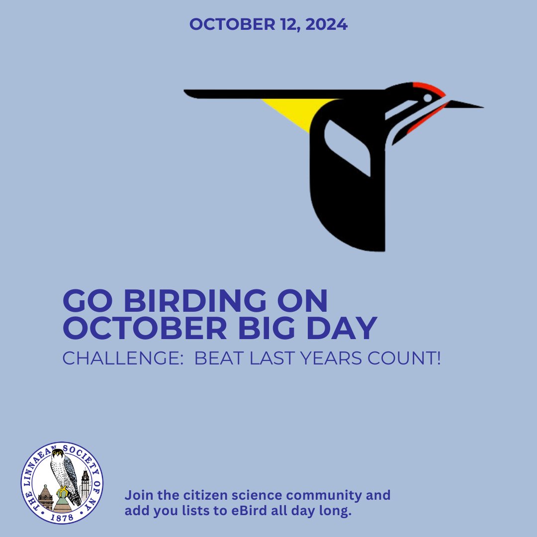 LinnaeanNY's tweet photo. Cornell Lab is sponsoring October Big Day on 10/12/24  https://t.co/d6VqplBKrS

Unite around our shared love of birds, participate from anywhere, and celebrate Global Bird Weekend &amp; World Migratory Bird Day. Join the global team and help set a new record for October birding. https://t.co/OC3Af6lGTx