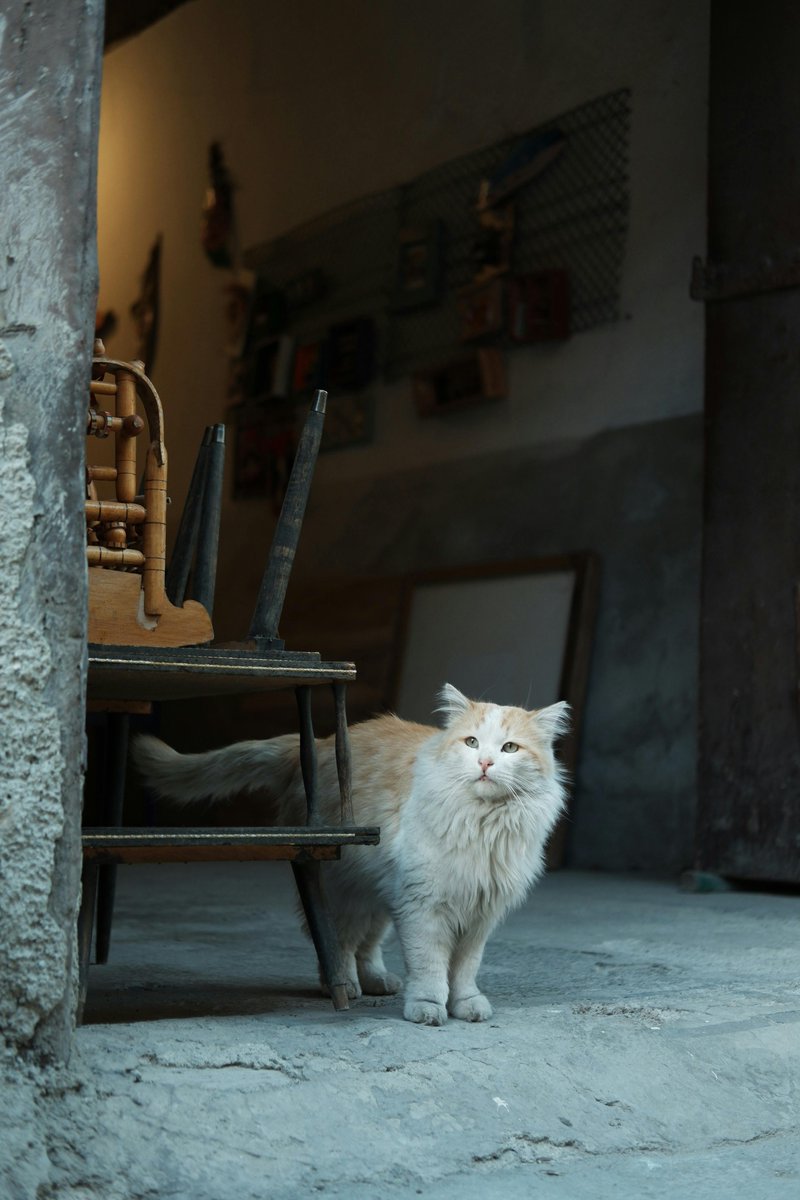 Schools should create safe zones where students can seek help if they feel threatened or bullied.