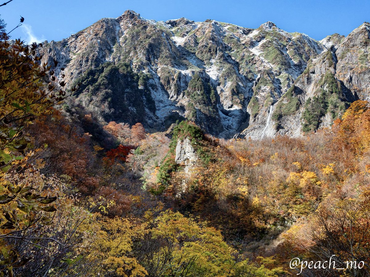 peach_mo's tweet photo. 何度かポストしていますが、谷川岳の沢（マチガ沢・一ノ倉沢・幽ノ沢・芝倉沢）の紅葉オススメです。登山というよりはゆるハイキングです。行動時間は3時間50分くらい。写真は2020年10月31日のものです。（続く https://t.co/6iQ5n6SuDF