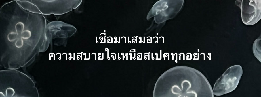 analog tweet media