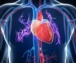 JournBoneres's tweet photo. #Bone marrow stem cells do not help regenerate heart muscle tissue
Share more information through: https://t.co/uU0O9RJrDf https://t.co/l1QJBSVIzJ