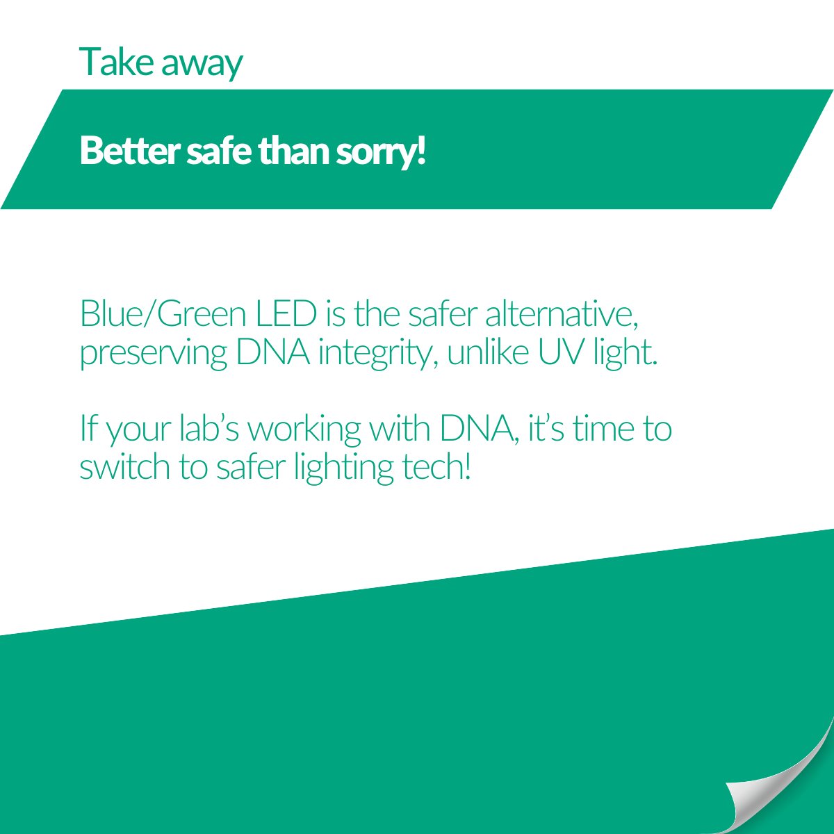 NipponGenEU's tweet image. 🧬When it comes to 𝗗𝗡𝗔 𝗶𝗻𝘁𝗲𝗴𝗿𝗶𝘁𝘆, the light you use matters.
Skip the harm, skip the fuss - Blue/Green LED is the light you can trust!
#LabInnovation #MolecularBiology #BlueGreenLED