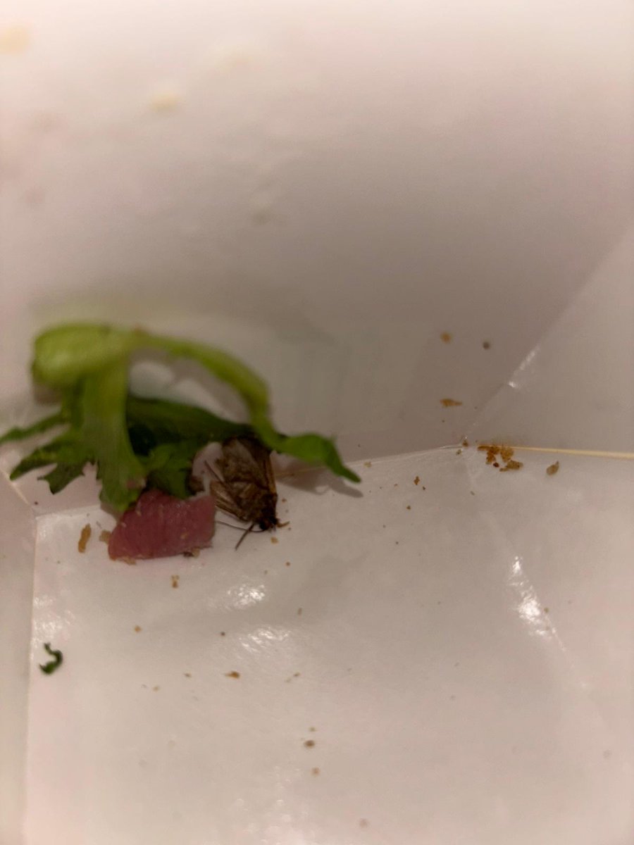 abbie__ransom's tweet photo. @waitrose #waitrose Husband found this in his lunch. How disgusting… also to then be told on the phone we will get a response in a few weeks.. 🥱🥴🥴🥴 https://t.co/YeBG9gqqCt