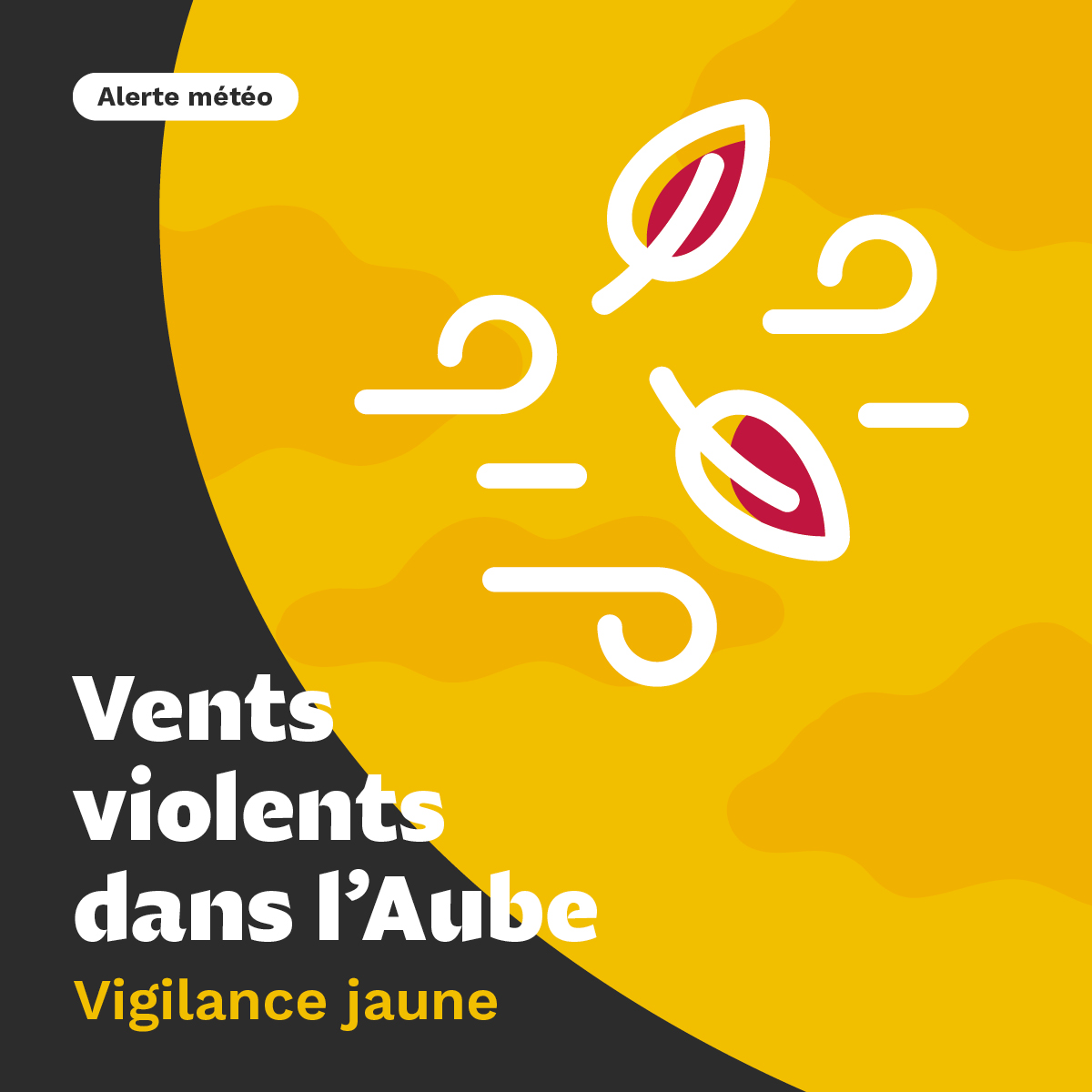 AubeDepartement's tweet image. 🟡💨 Le département de l’#Aube est placé en #VigilanceJaune pour #vents forts, mercredi 9 octobre 2024 entre 9h et 21h.

Des rafales jusqu'à 80 km/h et jusqu'à 50 mm de précipitations sont attendues.

⚠ Soyez prudents et restez informés sur bit.ly/47UHlNH