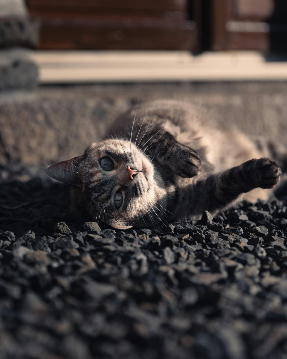 Community forums can serve as platforms for discussing school safety and violence prevention strategies.