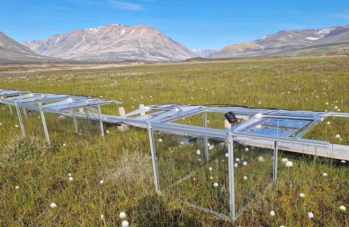 The #POLARIN Transnational Access Call for 2025-26 is NOW OPEN!  Zackenberg invites researchers to apply for the chance to conduct their science projects in NE Greenland in 2025. 
📅 Deadline: 28 November 2024
➡️ More information: zurl.co/6m7s