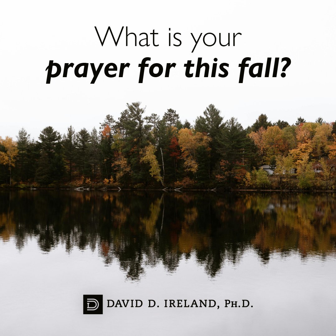 David Ireland tweet media