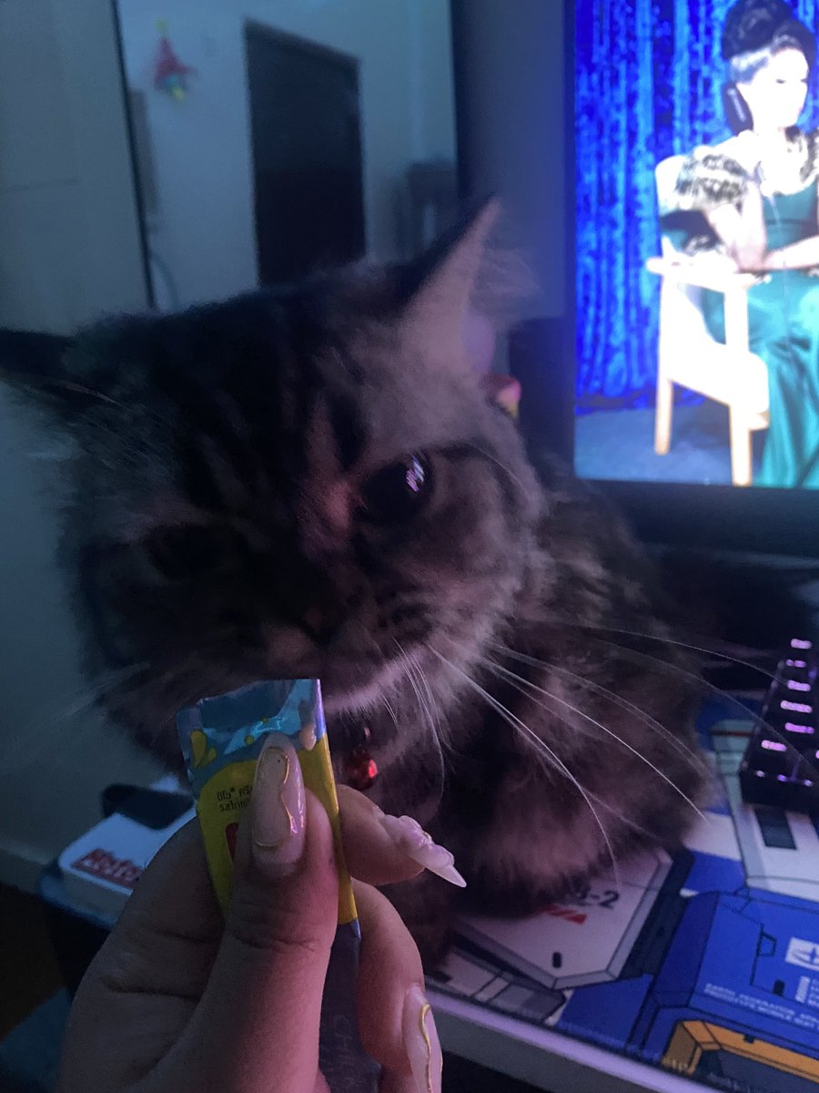 daddyjanes's tweet photo. Meowmy mode https://t.co/00TtU9TtrZ