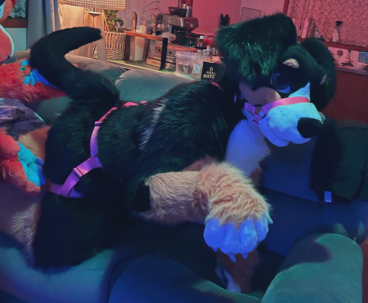 Pup’s getting hungry! Just because his booty is being put on display doesn’t mean he won’t beg to be fed at the same time.