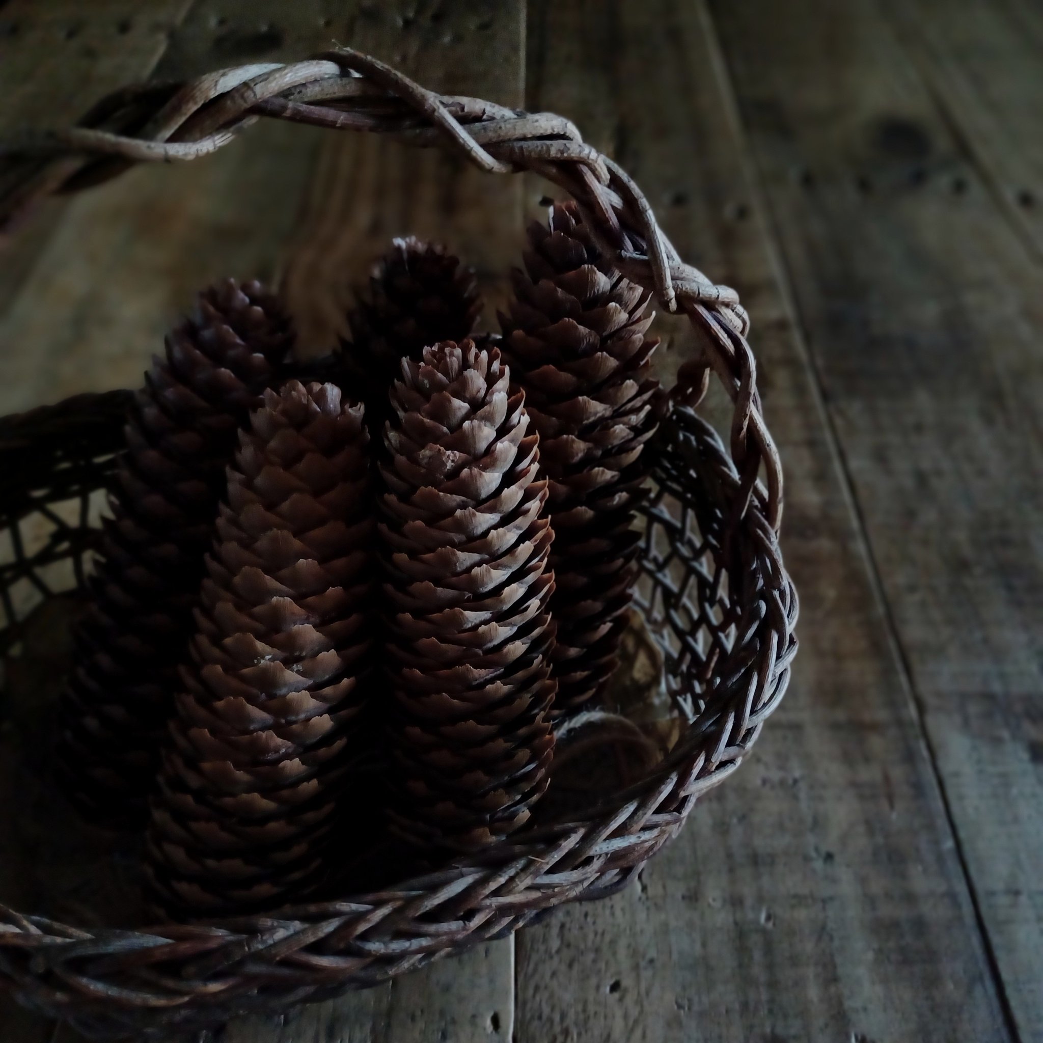 魔女の棲む森 ～antique cadre～】ドライフラワー リース