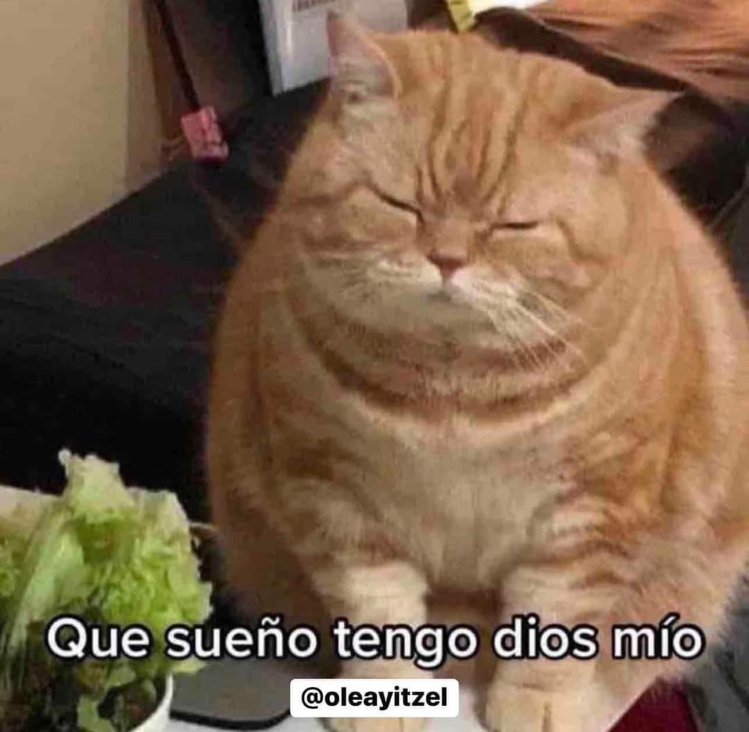 yo, en pleno martes