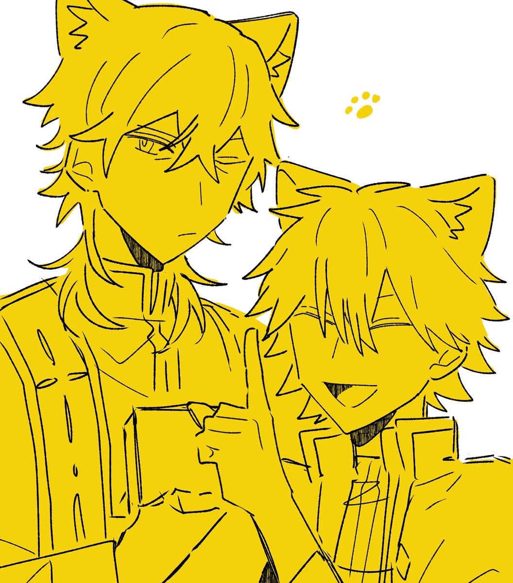 鮫二郎 tweet media