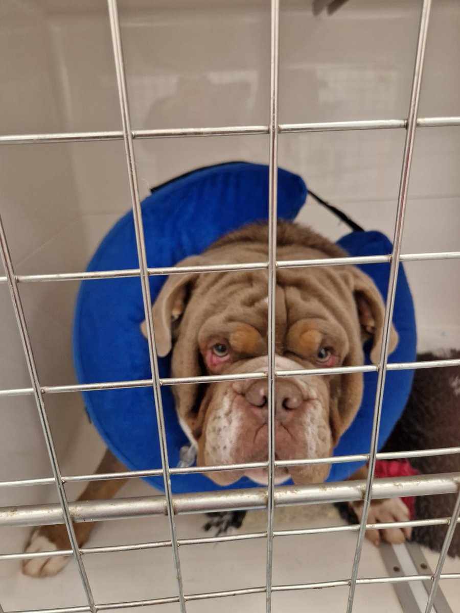 Waking up with sore eyes and no balls like "You did this to me"