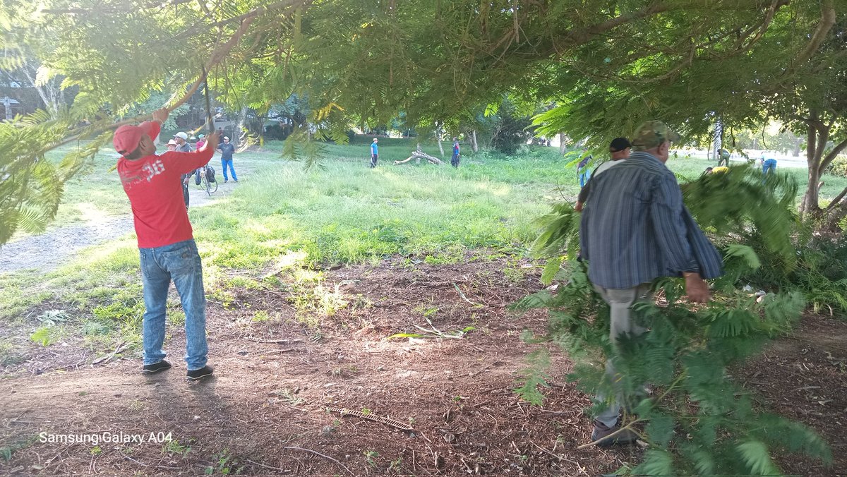 avila43159's tweet photo. Trabajadores de la Dirección General de Deporte Provincial Las Tunas realizan labores de higienización para mantener sus áreas limpias #PorLasTunasLaVictoria #TareaDeGrandes #HacemosCuba @DiazCanelB @SuselyMorfaG @PartidoPCC https://t.co/BmNF0ylbTL