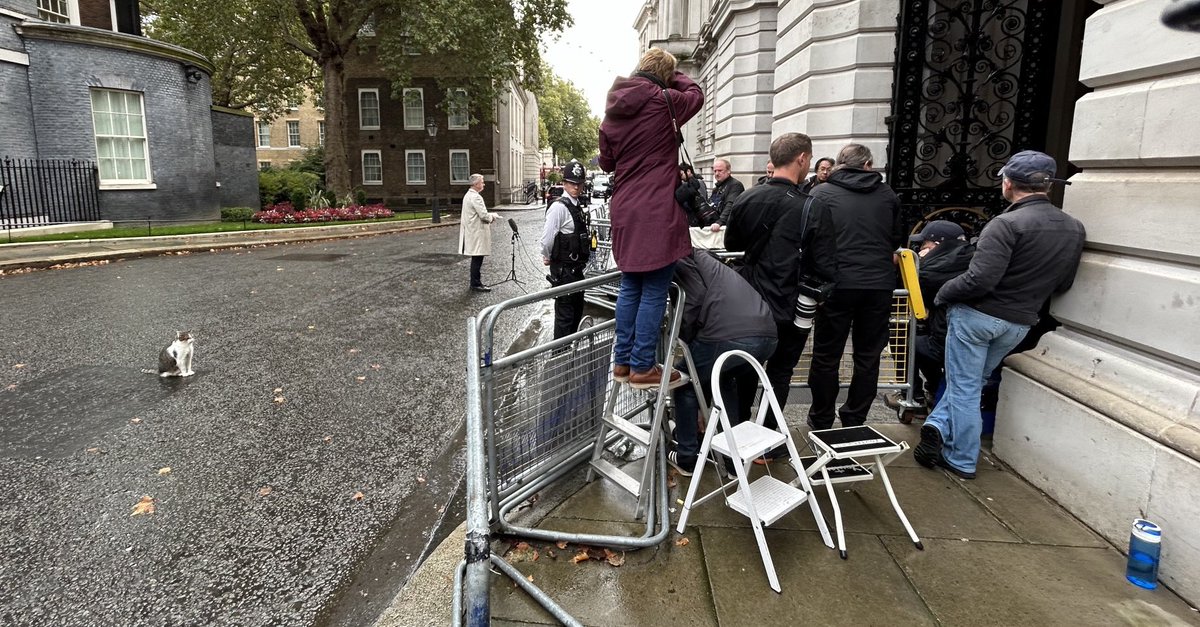 Larry the Cat tweet media