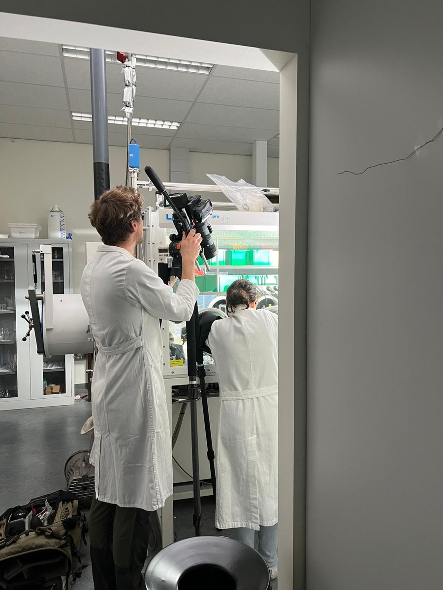 Loreta A. Muscarella (@la_muscarella) on Twitter photo Today, we're filming a video for our group, showcasing how we create colorful solid-state #perovskites and explore their fascinating optical properties! Thanks to Jester&Wylde for the shooting! #ScienceInAction <a href="/PhysicsAstron_/">Physics and Astronomy Amsterdam🔭</a> Today, we're filming a video for our group, showcasing how we create colorful solid-state #perovskites and explore their fascinating optical properties! Thanks to Jester&Wylde for the shooting! #ScienceInAction <a href="/PhysicsAstron_/">Physics and Astronomy Amsterdam🔭</a>