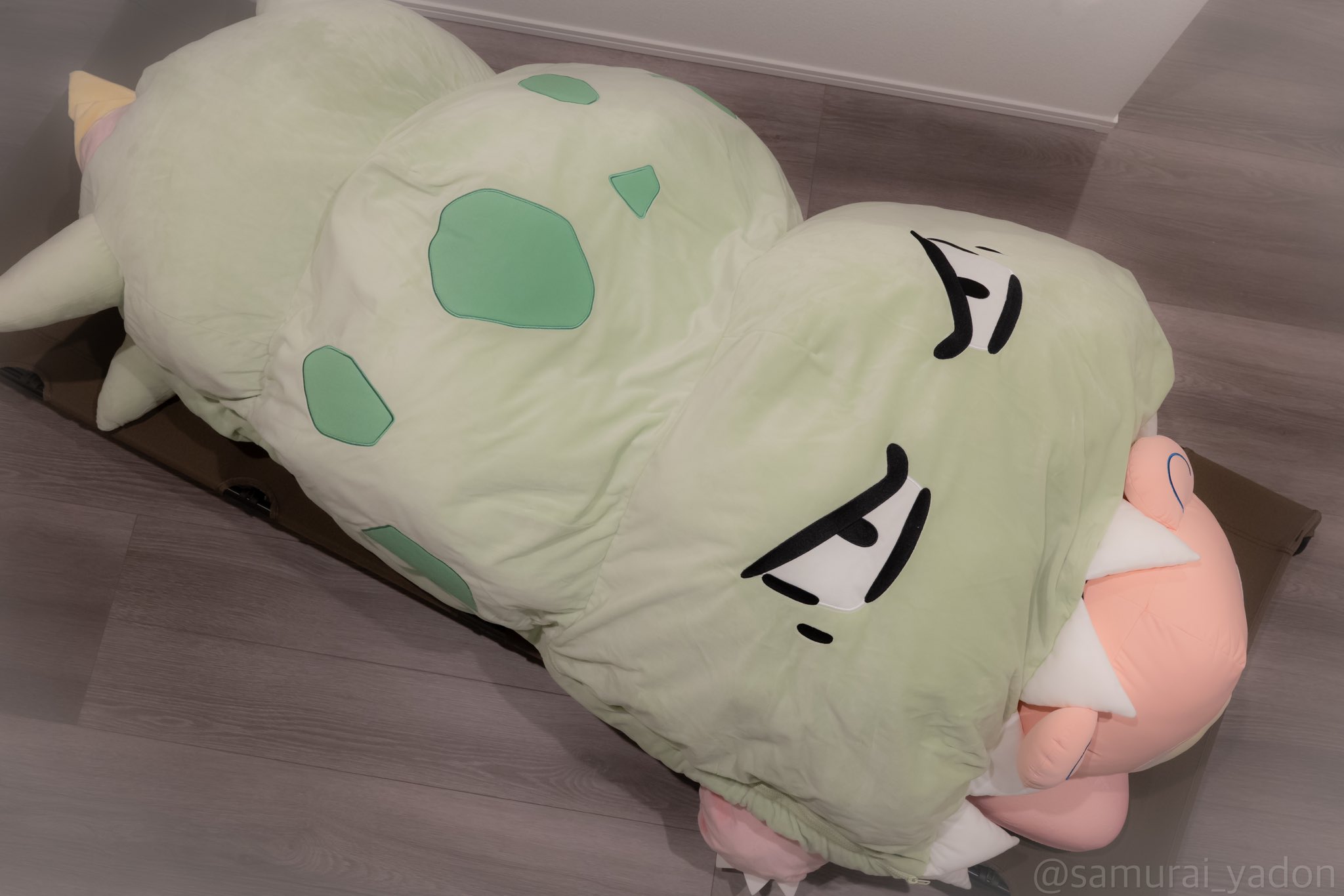 メガヤドランになれるやぁん！？ 寝袋 どんどん どんかん やぁん？