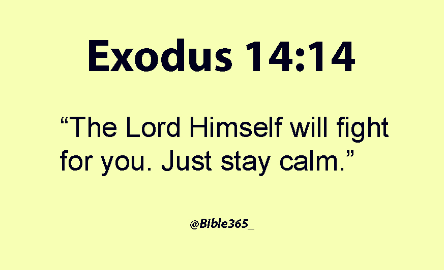 Bible365_'s tweet photo. https://t.co/MoJs6Cjd7L