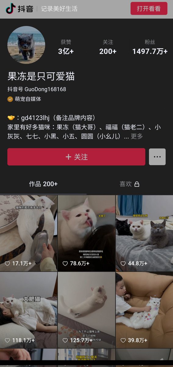 Solmeow tweet media