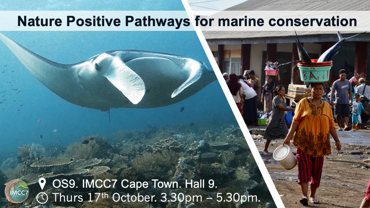 Dr Hollie Booth (@hollieboothie) on Twitter photo Who is attending <a href="/IMCC2024/">IMCC7</a> in #CapeTown next week? I'll be speaking about my work with <a href="/OxfordBiology/">Oxford Biology</a> & <a href="/KebersamaanLaut/">Kebersamaan Untuk Lautan</a> in a symposium on '#NaturePositive Pathways for marine conservation' on Thurs 17th. Come and join us! Who is attending <a href="/IMCC2024/">IMCC7</a> in #CapeTown next week? I'll be speaking about my work with <a href="/OxfordBiology/">Oxford Biology</a> & <a href="/KebersamaanLaut/">Kebersamaan Untuk Lautan</a> in a symposium on '#NaturePositive Pathways for marine conservation' on Thurs 17th. Come and join us!